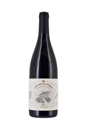 hecklinger-schlossbberg-grosses-sonnengewaechs-spaetburgunder-rotwein-badischer-winzerkeller