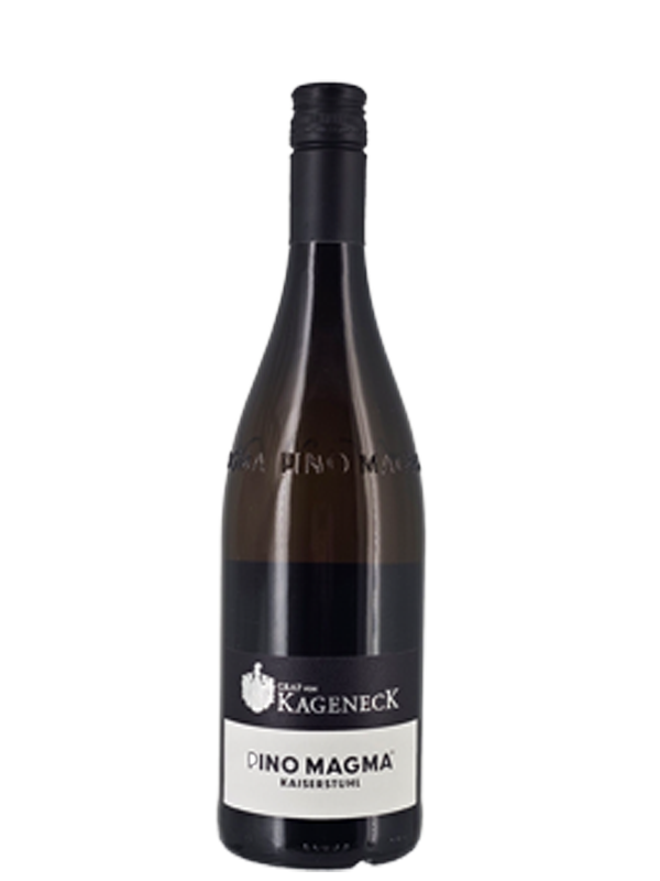 pinot-magma-badischer-winzerkeller